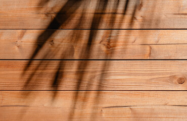 Wood wall texture with palm leaf shadow,Horizon brown wooden floor surface texture for product...