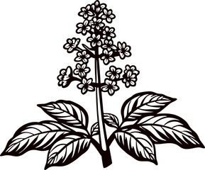 Black and white floral of a stylized flower with leaves.