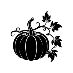 Pumpkin Vine Silhouette vector illustration