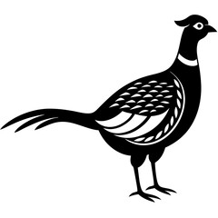 Animal Pheasant silhouette vector illustrator 