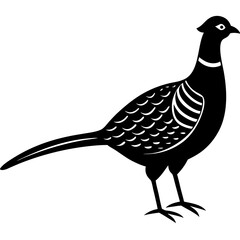 Animal Pheasant silhouette vector illustrator 