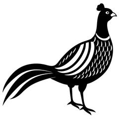 Animal Pheasant silhouette vector illustrator 