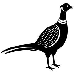 Animal Pheasant silhouette vector illustrator 