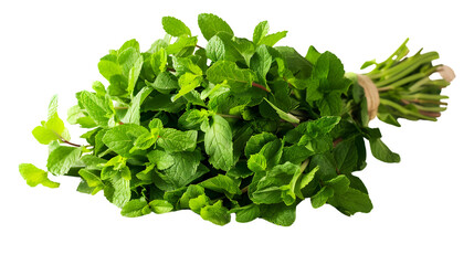 Obraz premium Fresh green organic mint leaves bunch - High-quality stock image for culinary and herbal products