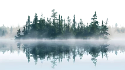 Poster Mistig bos Tranquil Misty Boundary Waters Lake and Pines Panorama Isolated  © Ava