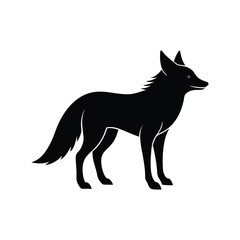 coyote silhouette