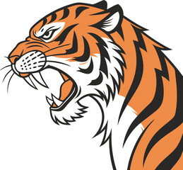 tiger head isolated