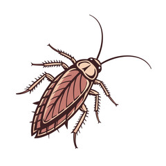 Cockroach vector art illustration