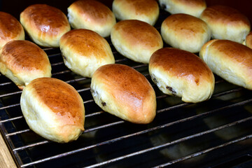On a baking sheet there are several rows of baked pies with filling.