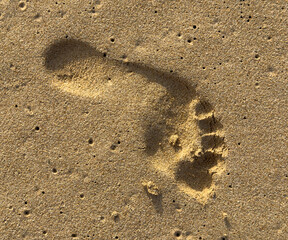 A foot print is in the sand