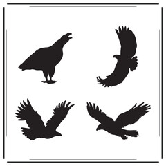 Bald Eagle silhouette, Bald Eagle illustration ,Bald Eagle clipart, Bald Eagle vector , black Bald Eagle ,Bald Eagle illustration on white background,