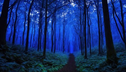 Enchanted Blue Forest Path A Mystical Journey Through a Dreamlike Woodland