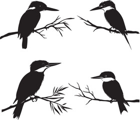 Kingfisher perched on branch vector