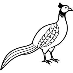Animal Pheasant line art vector 