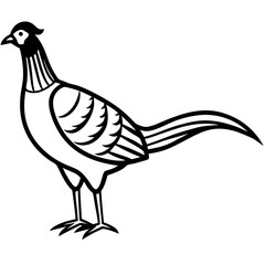Animal Pheasant line art vector 
