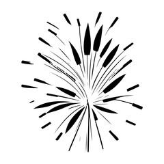 Obraz premium Minimalist Black and White Abstract Floral Explosion