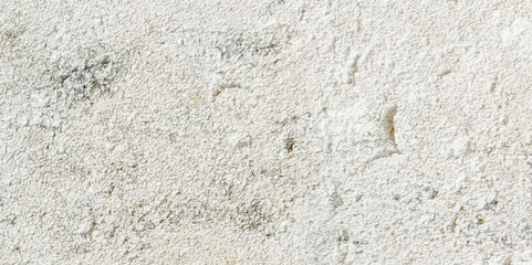 Abstract dust grunge particle and dust grain texture concrete wall grunge on white background Vector.