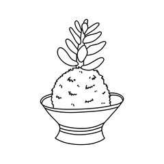 Kokedama. Japanese moss plant succulent. Home gardening icon.