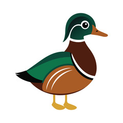 A colorful wood duck vector art illustration