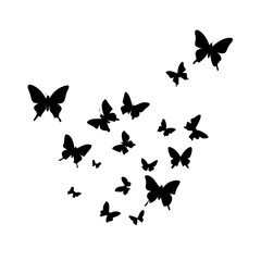 butterflies on white background