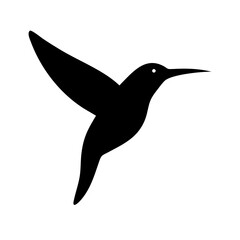 hummingbird vector illustration