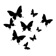 set of butterflies