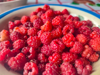  Fresh Raspberries in a Bowl Ready for Enjoying
