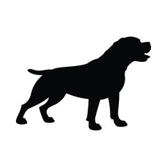 Fototapeta premium silhouette of Rottweiler vector art illustration in black against a pure white background