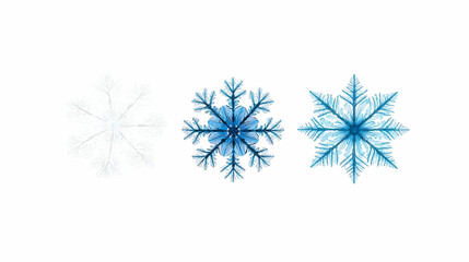 Pixel Snowflake Variations On White Background