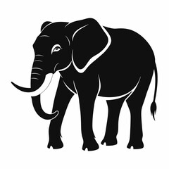 Obraz premium elephant vector illustration