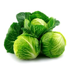 Fototapeta premium A group of fresh, green Savoy cabbages isolated on a white background