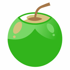 green coconut isolated vector
