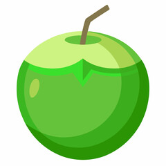 green coconut isolated vector