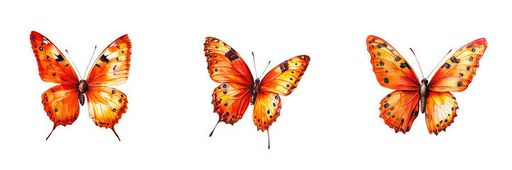 Obraz premium Set of High-resolution photo of a white desk with scattered butterfly clipart cutouts on transparent png background. Ai generated