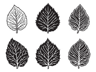 Obraz premium Teak leaf line art nature inspired botanical design for decor.