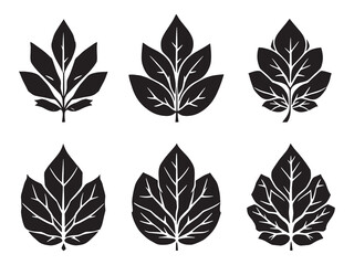 Fototapeta premium Tulsi leaf line art representing healing and wellness through simplicity