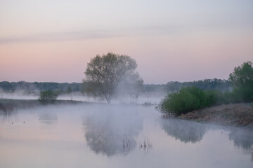 Obraz premium misty morning on the river