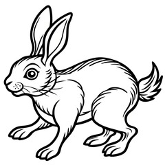 Obraz premium Rabbit Line Art