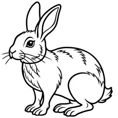 Rabbit Line Art