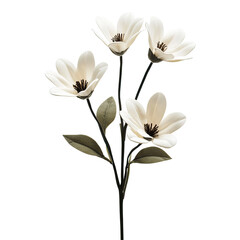 Fototapeta premium Elegant cream-colored flower bouquet