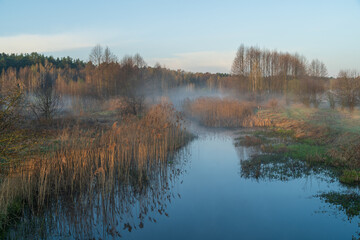 spring foggy landscape with lake
