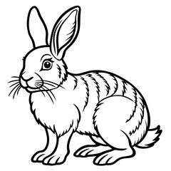 Obraz premium Rabbit Line Art