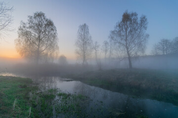morning fog in the forest. the dawn of a lake. dawn in the forest