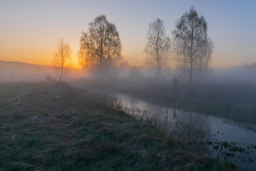 morning fog in the forest. the dawn of a lake. dawn in the forest. landscape
