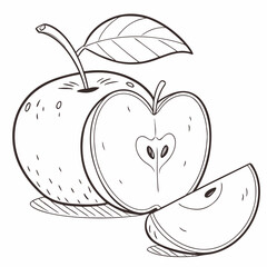 vector illustration of an apple