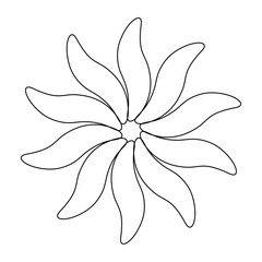 vector illustration of a lily flower for your design