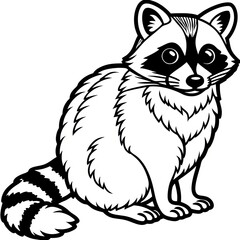 Obraz premium Raccoon Line Art