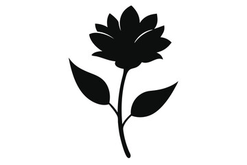 black and white flower