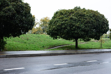 Lush greenery and overcast skies along a tranquil roadside path during a quiet afternoon