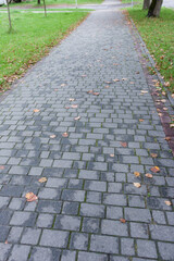 Fototapeta premium Paved walkway adorned with autumn leaves in a tranquil park setting during a crisp morning